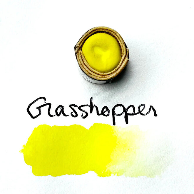 Beam Paints: Paintstones! - Pakne / Grasshopper