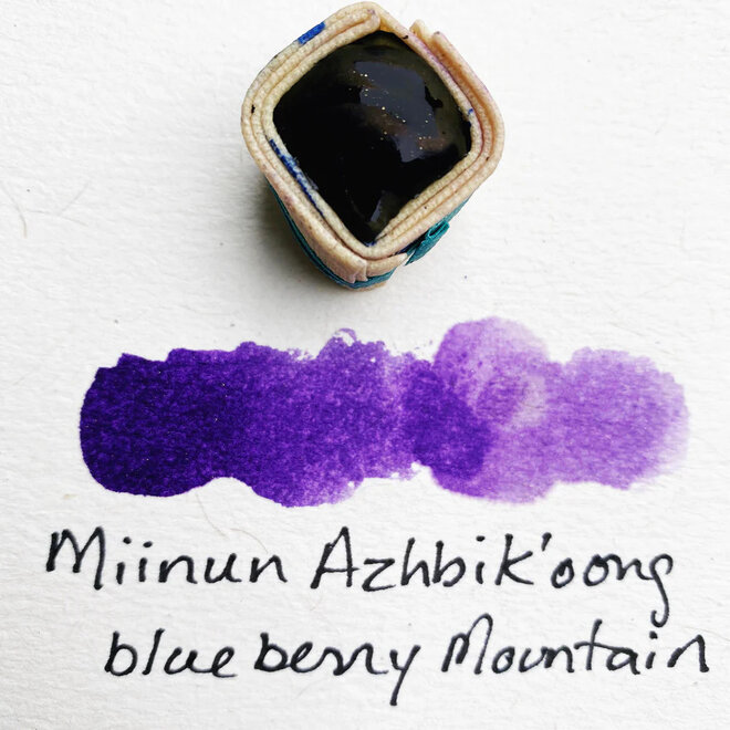 Beam Paints: Watercolour Paintstones! Miinun Azhibikoong / Blueberry Mountain