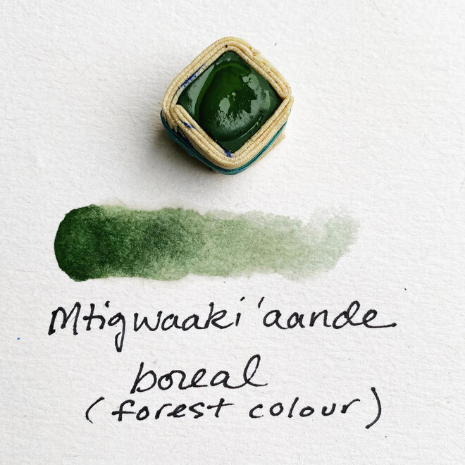 Beam Paints: Watercolour Paintstones! - Mtigwaakiing / Boreal Green
