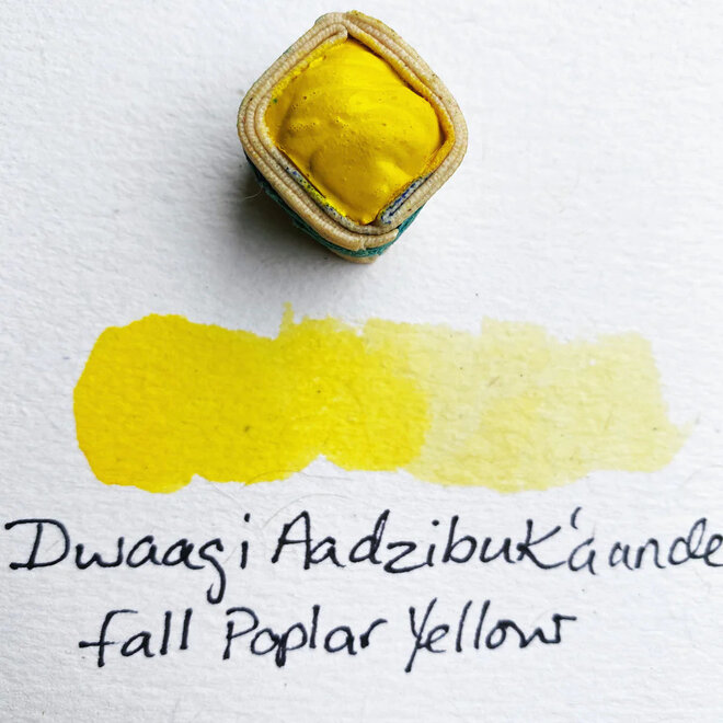 Beam Paints: Paintstones! - Dwaagih Aadzibuk / Fall Poplar Yellow