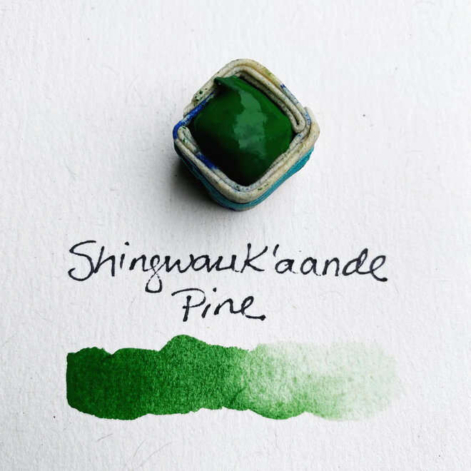 Beam Paints: Paintstones! - Shingwauk'aande / Pine Green
