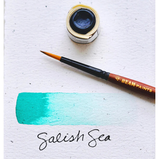 Beam Paints: Paintstones! Salish Sea