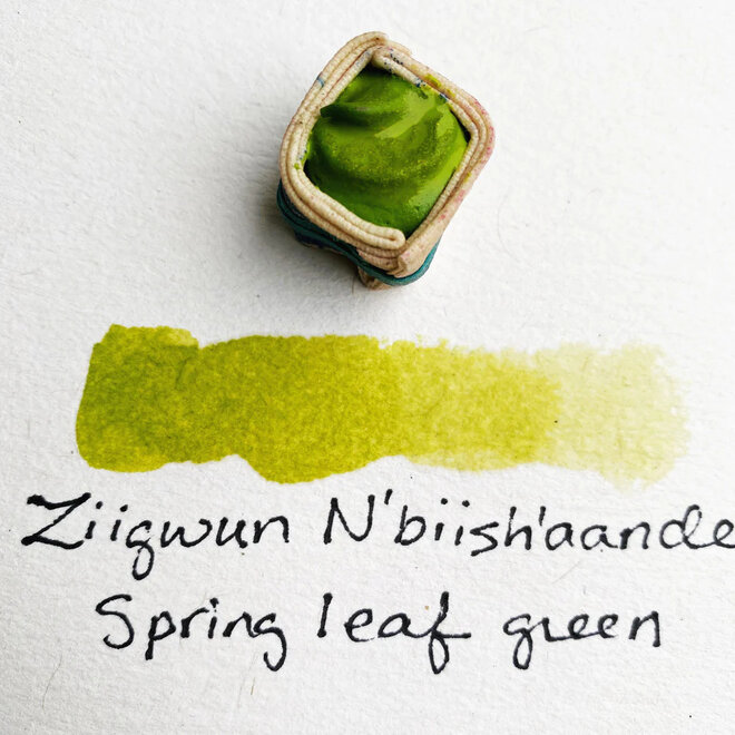 Beam Paints: Paintstones! - Ziigwun'aande / Spring Green