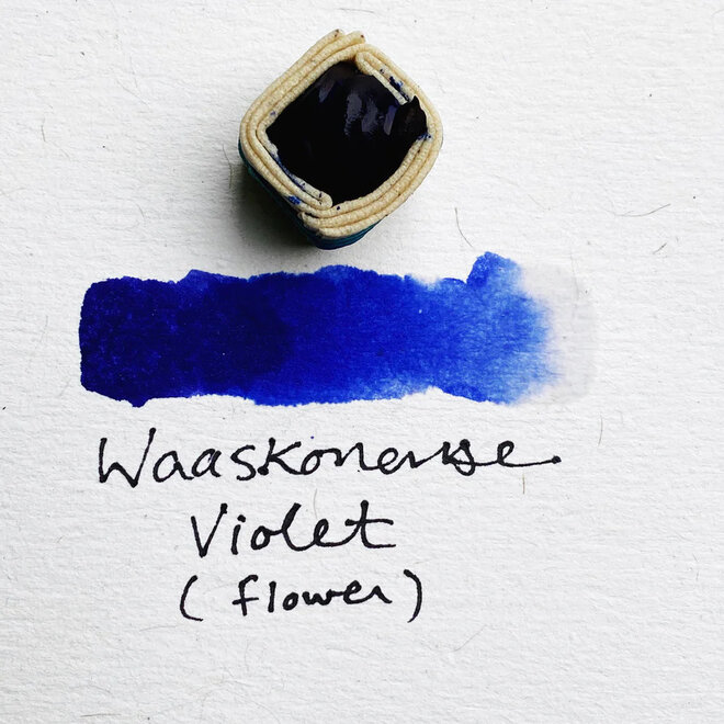 Beam Paints: Watercolour Paintstones! Gaatchi Waaskonense / Violet Flower
