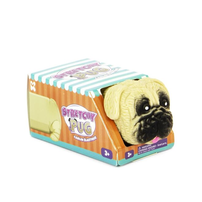 Stretchy Pug  - Super Stretchy!