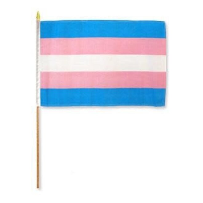 Transgender Pride Flag - Handheld 12”X18”