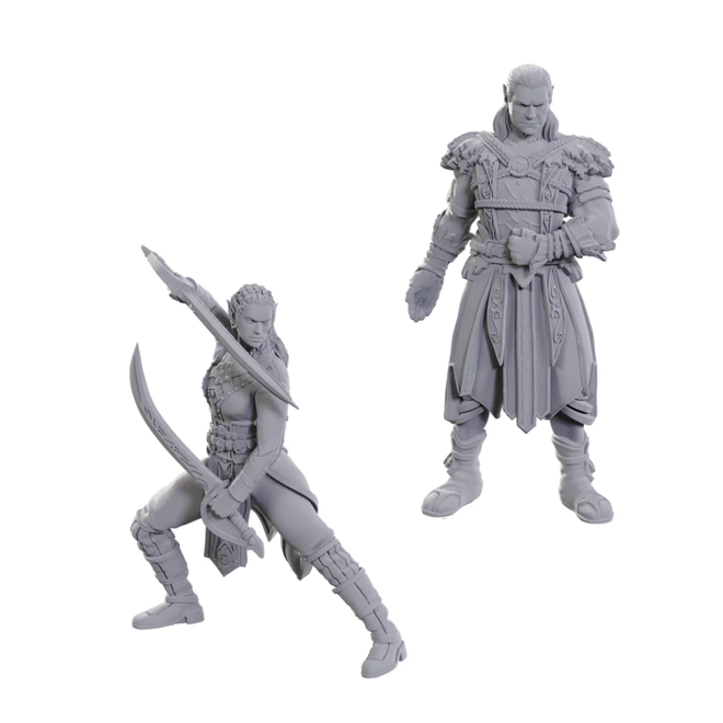 D&D: Nolzur's Marvelous Unpainted Miniatures - Baldur's Gate 3: Jaheira & Halsin