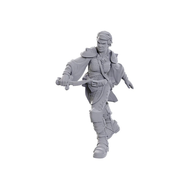 D&D: Nolzur's Marvelous Unpainted Miniatures - Wave 25 - Swashbuckler