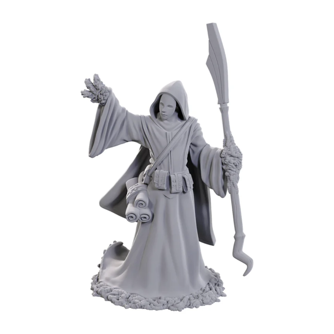 D&D: Nolzur's Marvelous Unpainted Miniatures - Wave 25 - Star Spawn Larva Mage