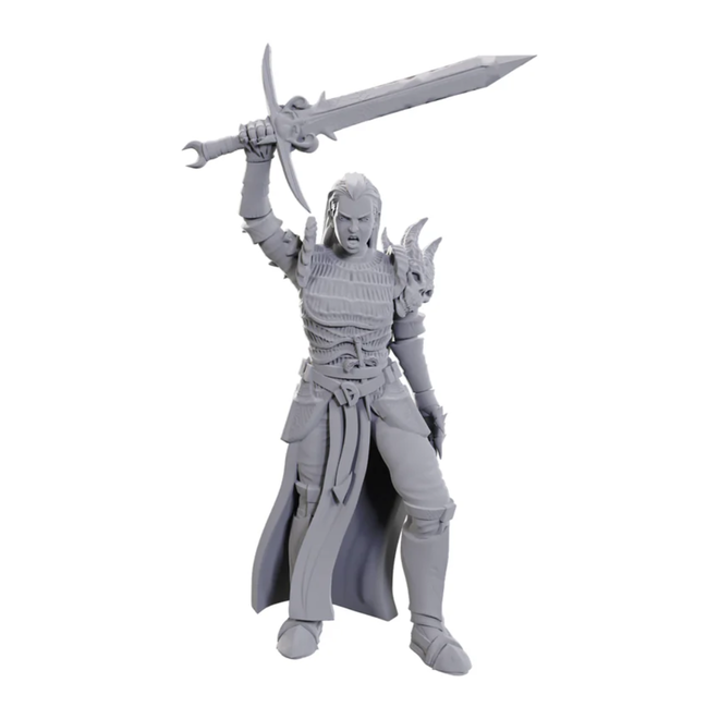 D&D: Nolzur's Marvelous Unpainted Miniatures - Wave 25 - Blackguard