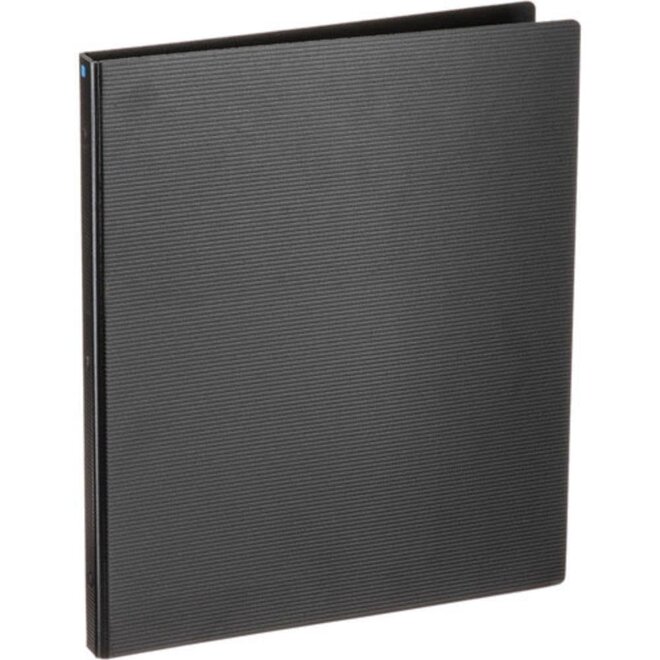 Itoya Art Profolio Multi-Ring Binder - 14"x17" - 11 PolyGlass Sleeves
