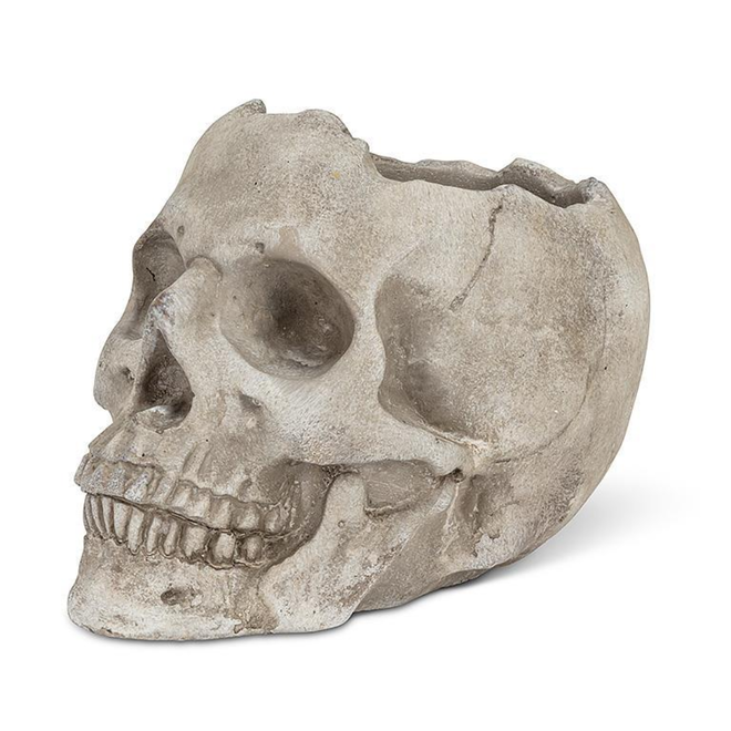 Large Skull Planter - 5"