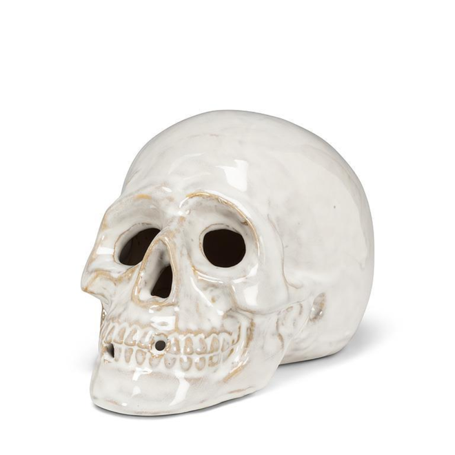 Small White Skull - 5.5"
