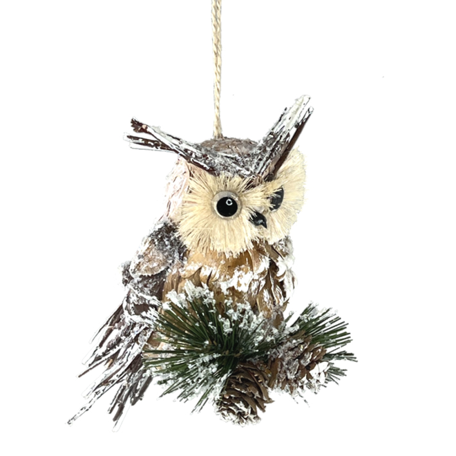 Christmas Decoration - 5x7" Iced Owl w/ Pine Ornament