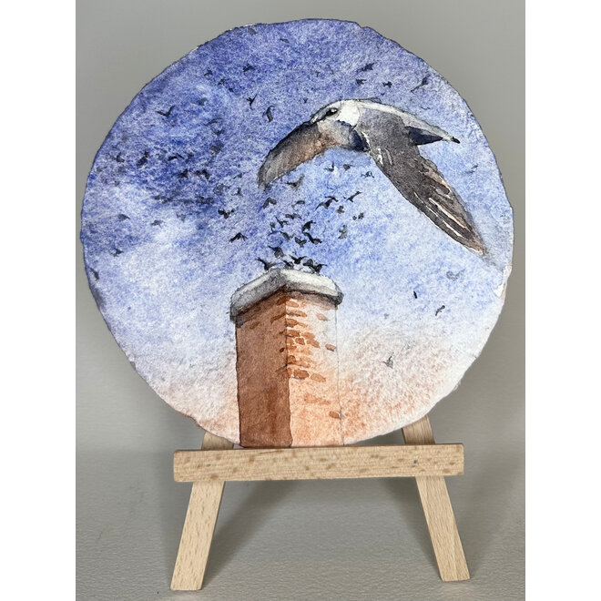 Third Place: Chimney Swift