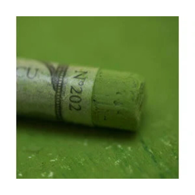 Sennelier Extra Fine Soft Pastel 202 Leaf Green 4