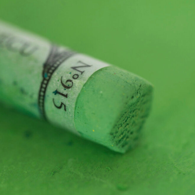 Sennelier Extra Fine Soft Pastel 915 Forest Green 6