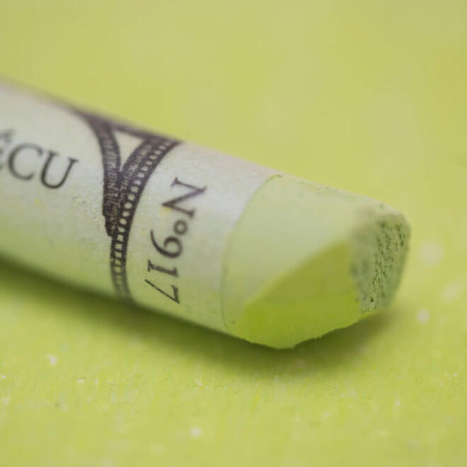 Sennelier Extra Fine Soft Pastel 917 Forest Green 8