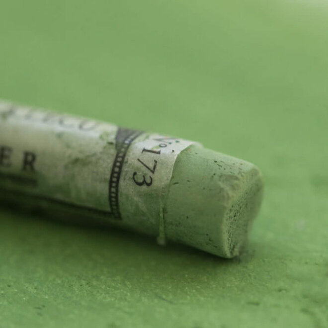 Sennelier Extra Fine Soft Pastel 173 Moss Gray Green 6