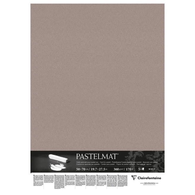 Clairefontaine Pastelmat Pastel Card 19.5X25.5" 170Lb Charcoal Grey - Anthracite 5 Sheet Pack