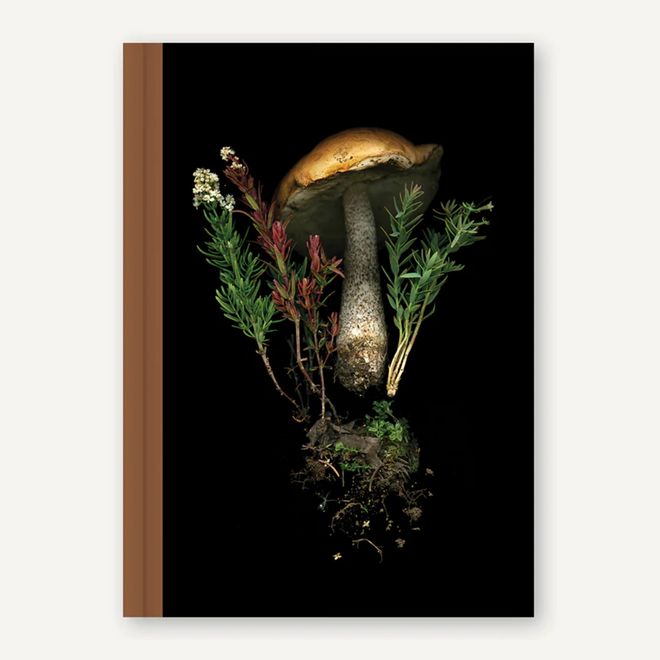 Chronicle Books Hardcover Journal - Deep Dark Forest: Mushroom