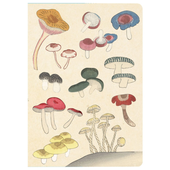 Tuttle Paperback Journal - Healing Mushrooms - A5, Lined