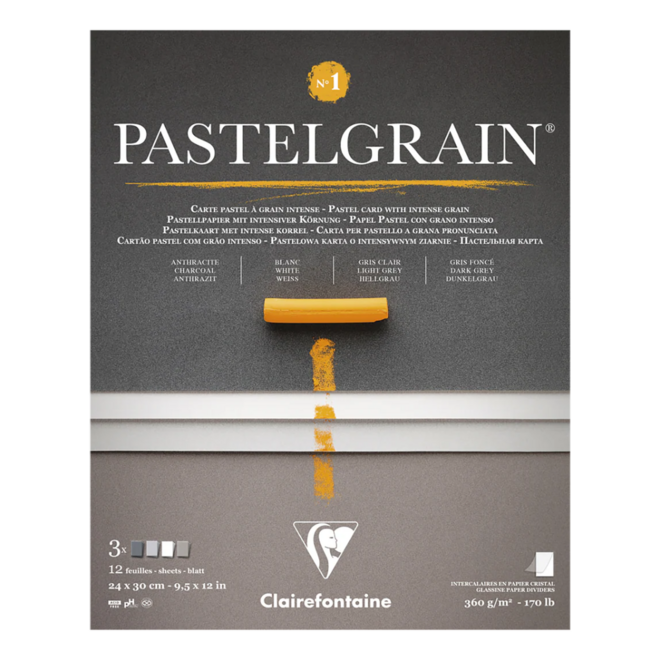 Pastelgrain: Intense Grain Pastel Card - 24x30cm, 12 Sheets - #1: Charcoal, White, Light Grey, & Dark Grey