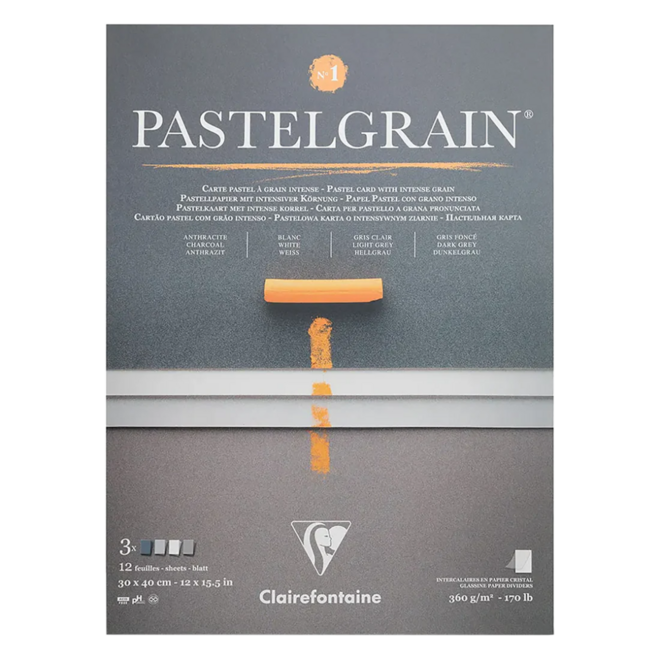 Pastelgrain: Intense Grain Pastel Card - 170lb, 12x15.5", 12 Sheets - #1: Charcoal, White, Light Grey, & Dark Grey