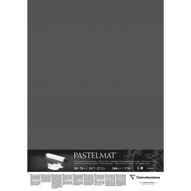 Clairefontaine Pastelmat Pastel Card 19.5X25.5" 170Lb Anthracite Black 5 Sheet Pack