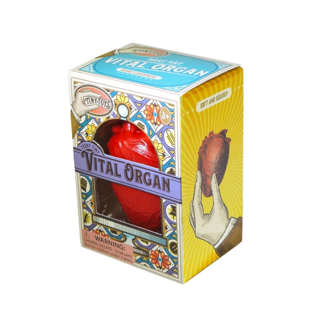 Tiny Toys: Teeny Tiny Vital Organ - Anatomical Heart
