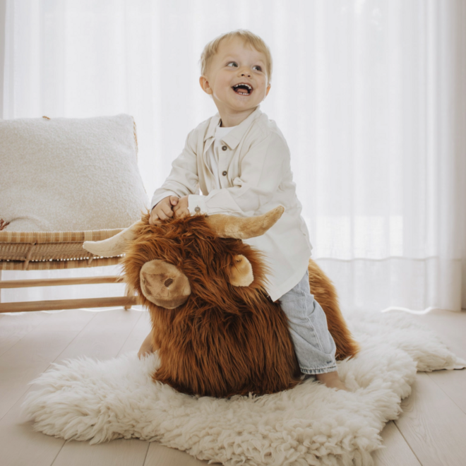 Soft Bouncy Higland Cow - Wild & Soft