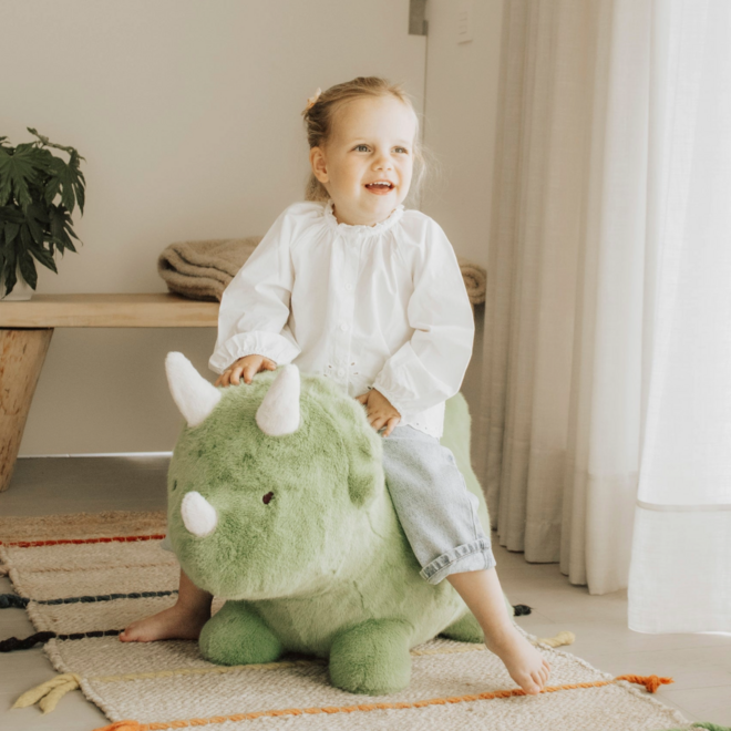 Soft Bouncy Dino - Wild & Soft