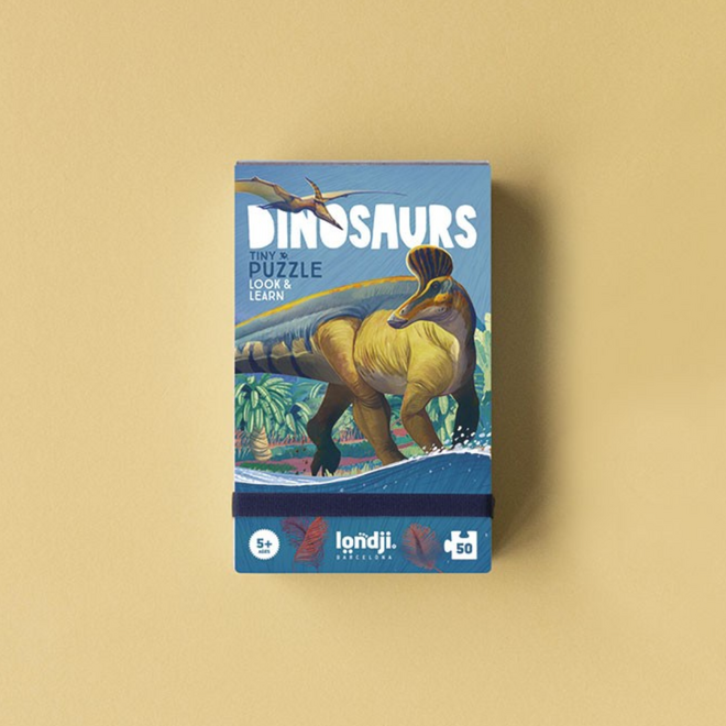 Tiny Puzzle - Look & Learn: Dinosaurs
