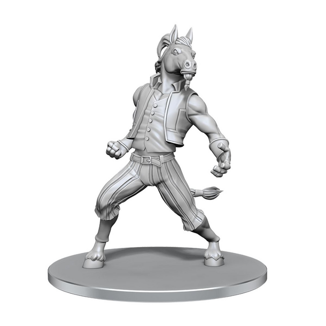 D&D Nolzur's Marvelous Unpainted Miniatures - Wave 28: Equinal Guardian