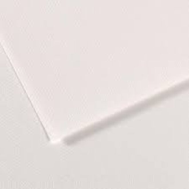 Canson Mi-Teintes 19.5x25.5 White 10 Sheet Pack