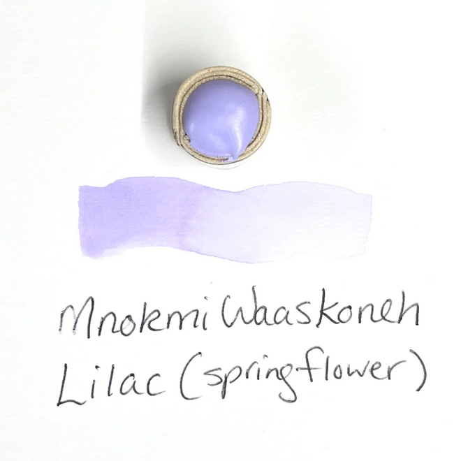 Beam Paints: Paintstones! Gouache - Mnokmi Waaskoneh / Lilac (Spring Flower)