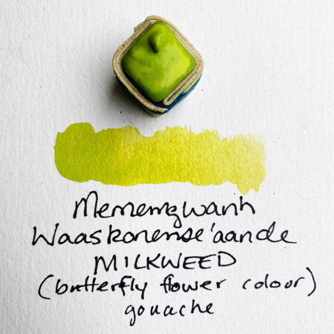Beam Paints: Paintstones! Gouache - Waaponeh Waaskonense / Milkweed
