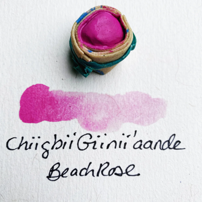 Beam Paints: Gouache Paintstones! - Chiigbii Giinii'aande / Beach Rose