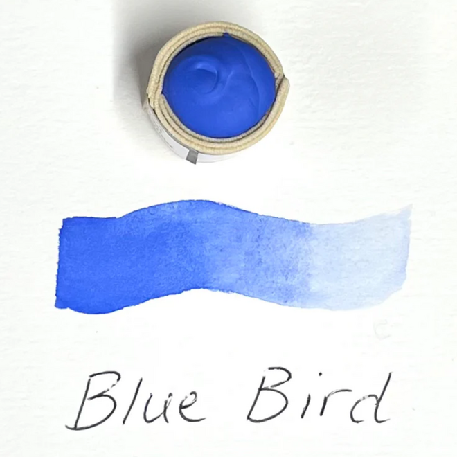 Beam Paints: Paintstones! - Bluebird
