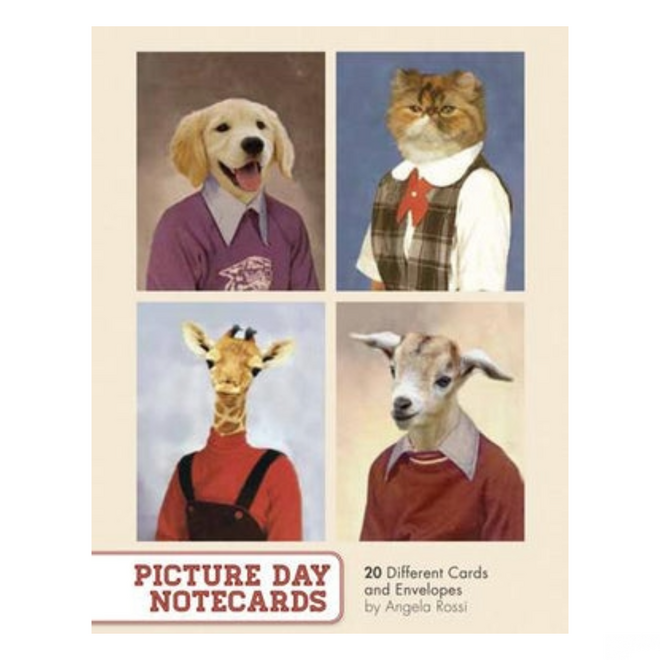 Angela Rossi: Picture Day Notecards - 20 Note Cards & Envelopes