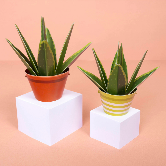 Paper Activity Kit - The Mindful Gardener: Make Your Own Healing Aloe Vera