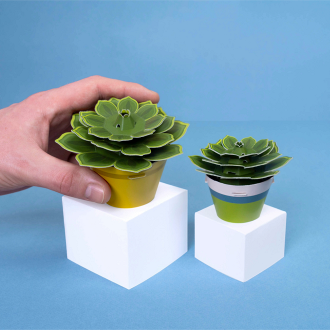Paper Activity Kit - The Mindful Gardener: Make Your Own Soothing Succulent