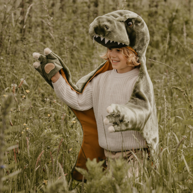 Wild & Soft: T-Rex Disguise