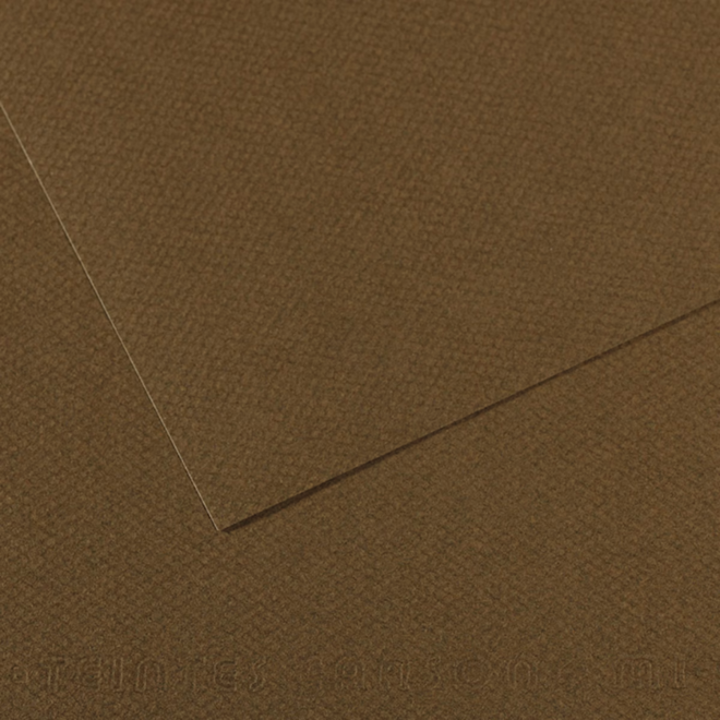 Canson Mi-Teintes 50% Cotton Pastel Paper - Tobacco Brown - 19.5x25" - 10 Sheets
