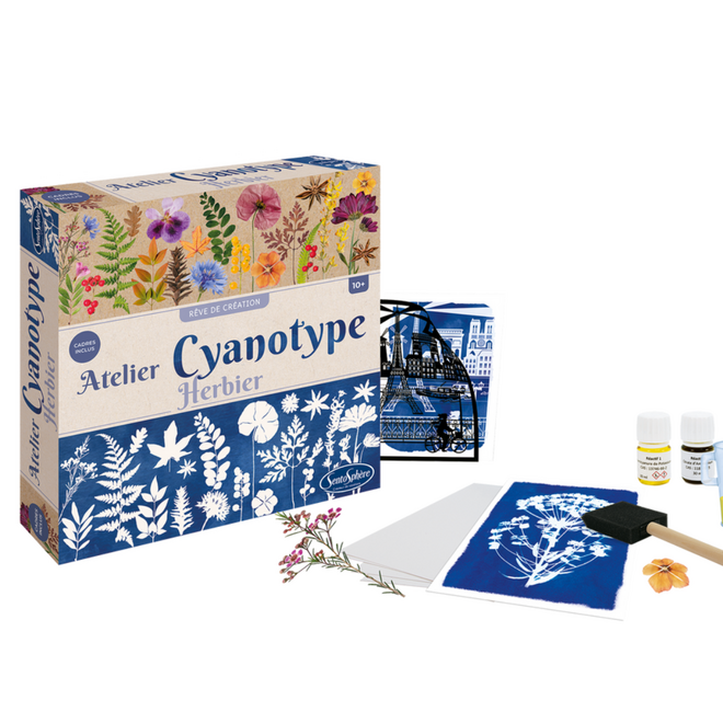 Cyanotype Workshop - Herbarium