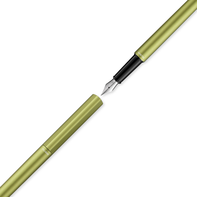 Pelikan Ineo Elements Fountain Pen in Metal Gift Box - Green Oasis, Medium