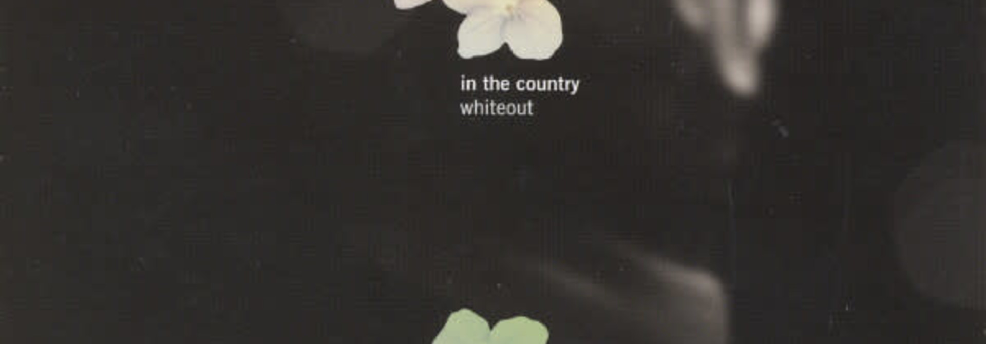 In The Country • Whiteout