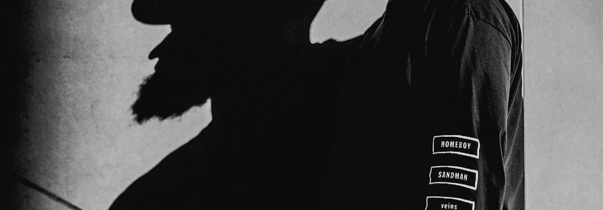 Homeboy Sandman • Veins