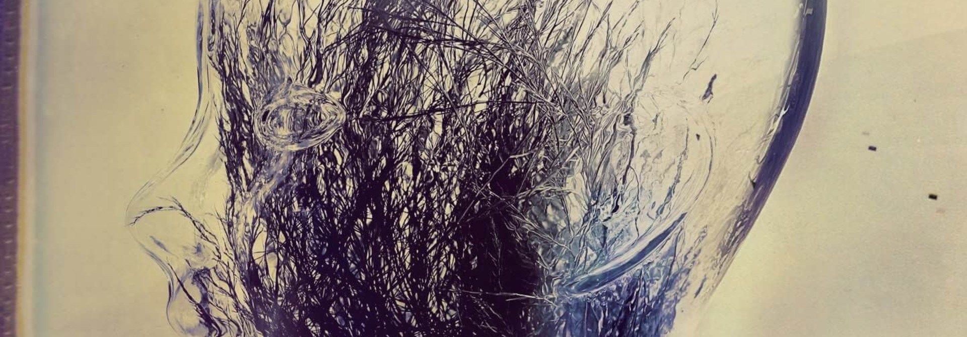 Patrick Watson • Wave