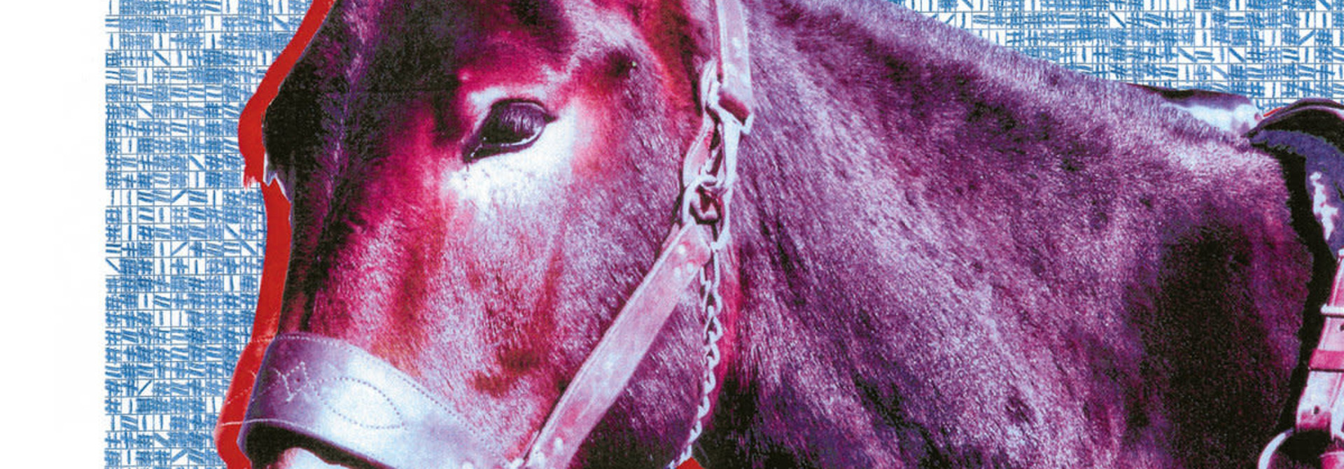 Protomartyr • Ultimate Success Today